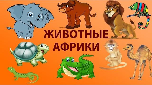 Животные африки видео про животных африки. развивающее видео для детей. animals of africa Животные африки видео про животных африки. развивающее видео для детей. animals of africa