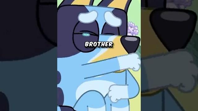 What happened to bluey's older brother? #shorts #bluey What happened to bluey's older brother? #shorts #bluey