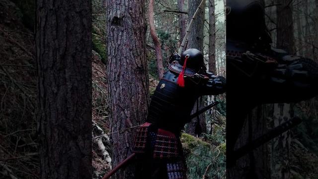 Longbow vs yumi Longbow vs yumi