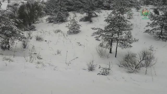 Karlı dağlar karını almış karınan. Karlı dağlar karını almış karınan.