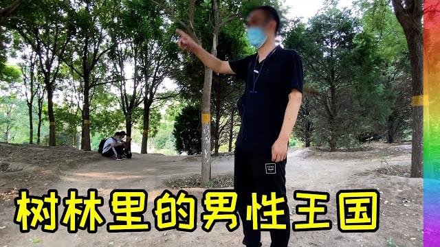 这里每晚树林里聚集着一群年轻帅哥:探秘北京朝阳区新同志聚集地【北同】 这里每晚树林里聚集着一群年轻帅哥:探秘北京朝阳区新同志聚集地【北同】