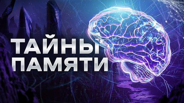 Секреты памяти - что скрывает наш мозг? уникальные случаи жизни без мозга. люди, не умеющие забывать Секреты памяти - что скрывает наш мозг? уникальные случаи жизни без мозга. люди, не умеющие забывать