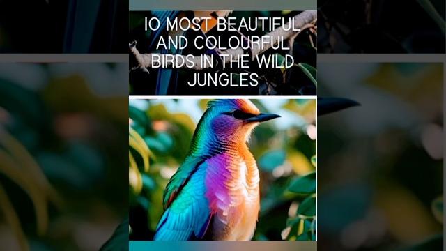 #birds#trending#facts#reels#animals#india#natur#modi#rinkusingh#priyasaroj#indorenews#aajtak#ndtv#bb #birds#trending#facts#reels#animals#india#natur#modi#rinkusingh#priyasaroj#indorenews#aajtak#ndtv#bb