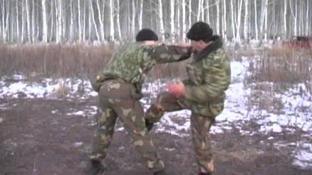 Сибирский кулак базовый комплекс 20 Сибирский кулак базовый комплекс 20