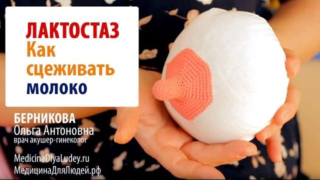 Уникальное видео: лактостаз: как сцеживать молоко? Уникальное видео: лактостаз: как сцеживать молоко?