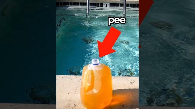 How much pee is in a pool? How much pee is in a pool?
