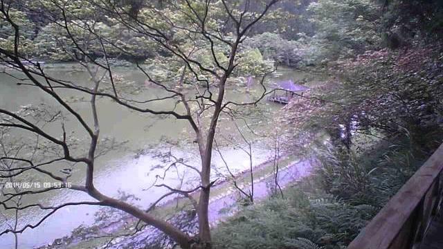 20140515-新金旺100明池 20140515-新金旺100明池