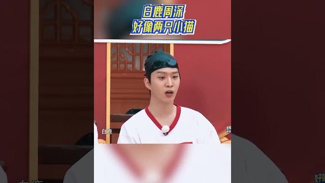【ep10已上线】 白鹿周深爆笑互击!好像两只小猫 #奔跑吧12 【ep10已上线】 白鹿周深爆笑互击!好像两只小猫 #奔跑吧12