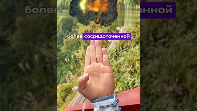 Упражнения для памяти и активации мозга #здоровье #полезно #мозг #упражнения #память #советы #совет Упражнения для памяти и активации мозга #здоровье #полезно #мозг #упражнения #память #советы #совет
