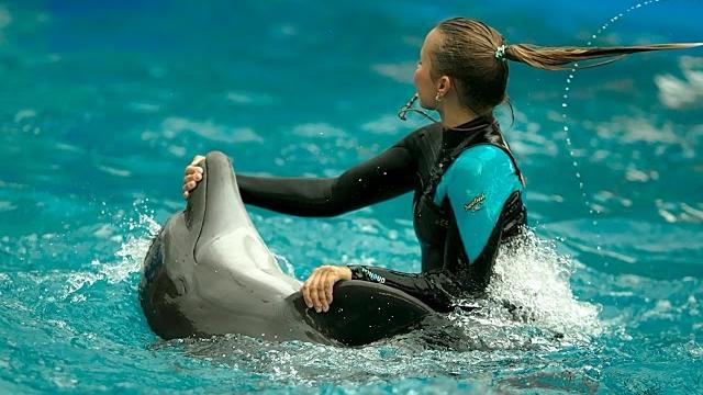 Дельфинарий немо одесса 18.08.2016 dolphinarium nemo odessa Дельфинарий немо одесса 18.08.2016 dolphinarium nemo odessa