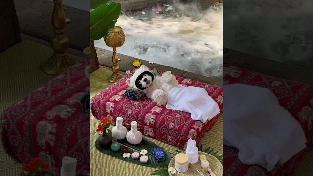 Asmr | bai’s southeast asian-style spa & relaxation Asmr | bai’s southeast asian-style spa & relaxation