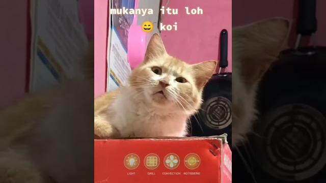 Lidya danira Lidya danira
