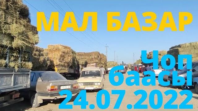 Чоптун баасы мал базар каракол 24-июль 2022 г. Чоптун баасы мал базар каракол 24-июль 2022 г.