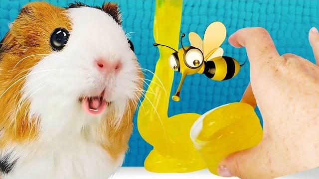 Слаймы против обычной еды! челленджи с едой для животных! подписчики выбирают победителя Слаймы против обычной еды! челленджи с едой для животных! подписчики выбирают победителя