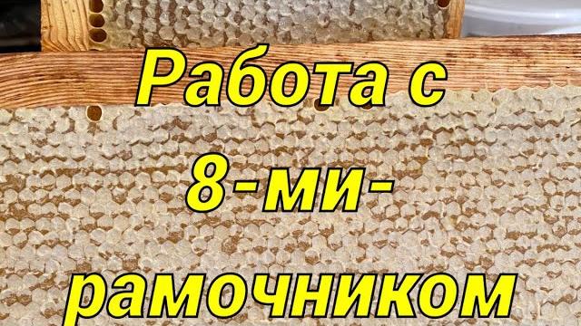 Особенности работы с 8-ми рамочным ульем!!! Особенности работы с 8-ми рамочным ульем!!!