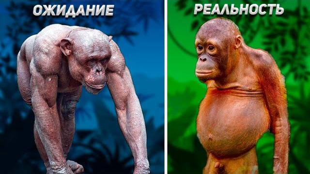 Насколько обезьяны сильнее людей? научный разбор мифа Насколько обезьяны сильнее людей? научный разбор мифа