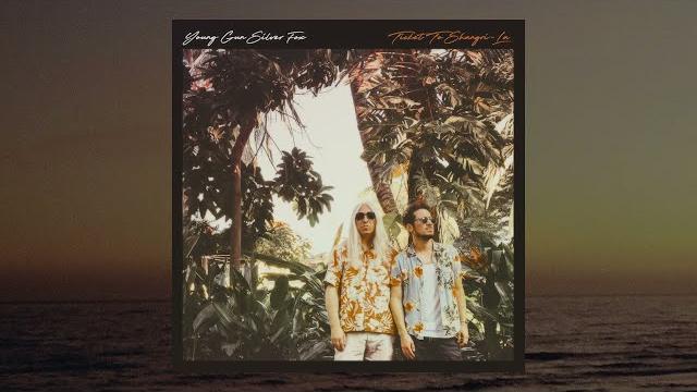 Young gun silver fox - simple imagination Young gun silver fox - simple imagination