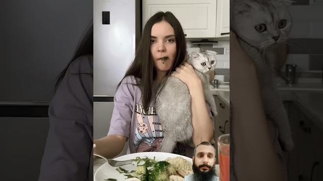 Green screen reaction on this video #funny #юмор #cat #funnycat #funnycats #comedy #cats #memes Green screen reaction on this video #funny #юмор #cat #funnycat #funnycats #comedy #cats #memes