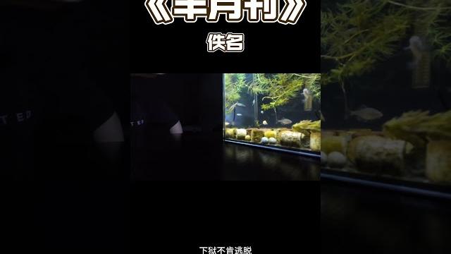 半月刊 佚名 半月刊 佚名
