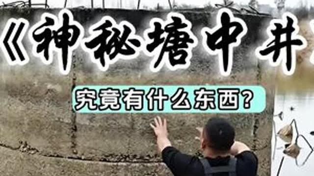 包下神秘塘中井鱼塘,里面究竟有什么?#户外 #三农 #抓鱼 包下神秘塘中井鱼塘,里面究竟有什么?#户外 #三农 #抓鱼
