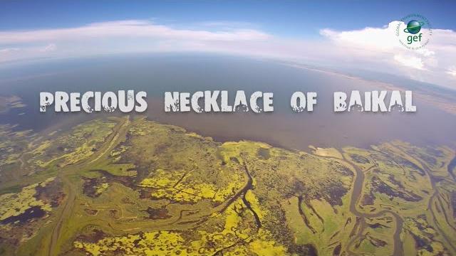 Precious necklace of baikal Precious necklace of baikal