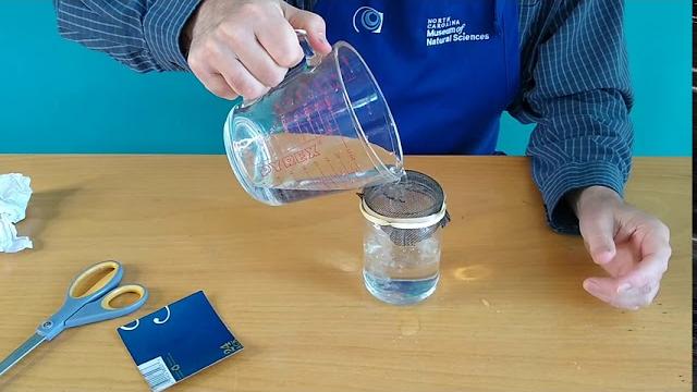 Science at home: gravity-defying water experiment Science at home: gravity-defying water experiment