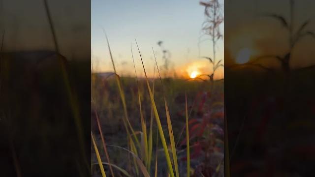 Northern sunset #sunset #north #asmr Northern sunset #sunset #north #asmr