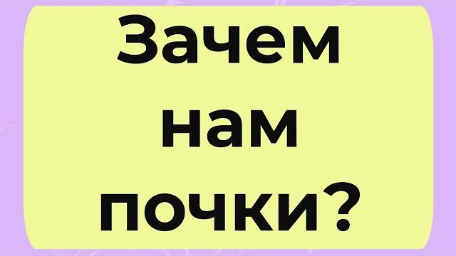 Зачем нам почки? Зачем нам почки?