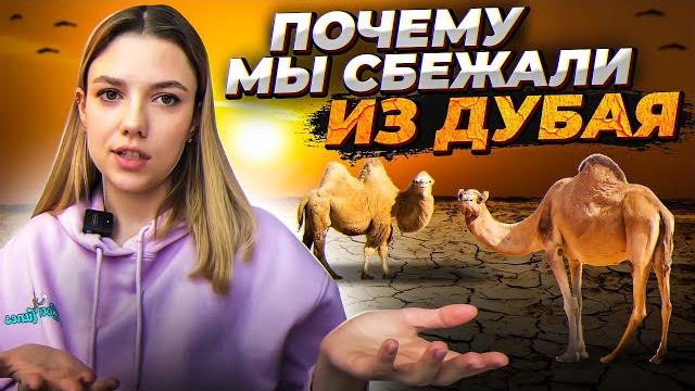 Минусы жизни в дубае // с чем я не смогла смириться и куда уехала #дубай #иммиграция #оаэ2023 Минусы жизни в дубае // с чем я не смогла смириться и куда уехала #дубай #иммиграция #оаэ2023