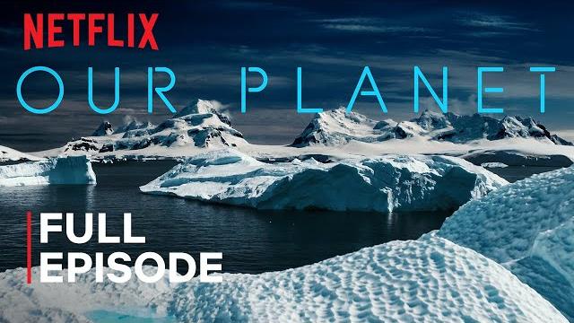 Our planet | frozen worlds | full episode | netflix Our planet | frozen worlds | full episode | netflix