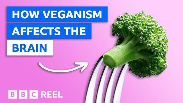 How a vegan diet affects your brain – bbc reel How a vegan diet affects your brain – bbc reel