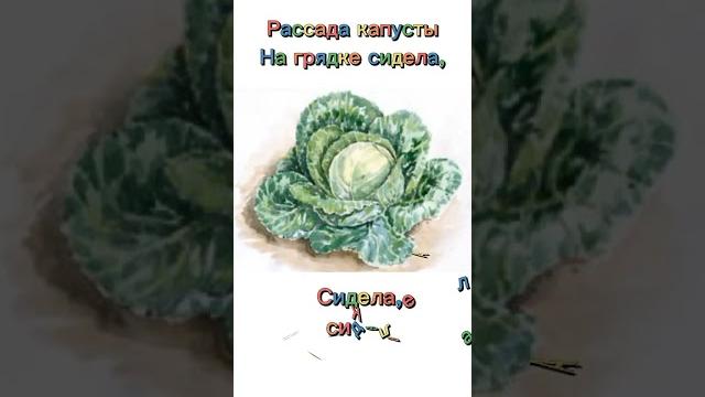 Капуста | ирина александрова Капуста | ирина александрова