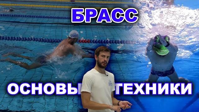 Техника плавания брассом для новичков Техника плавания брассом для новичков
