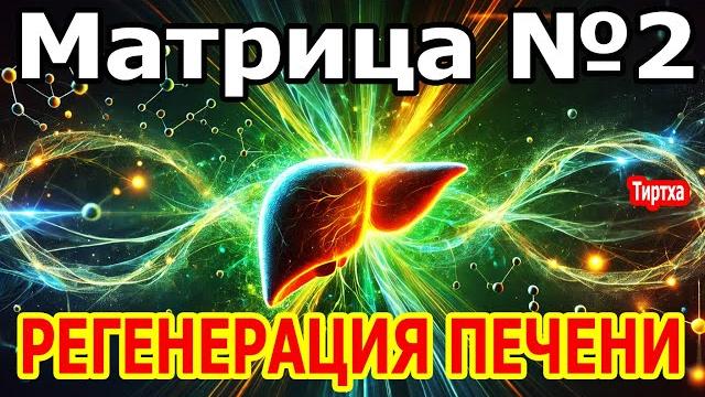 Матрица №2 мощное очищение и регенерация печени Матрица №2 мощное очищение и регенерация печени