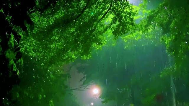 영혼의 휴식을 주는 빗소리 자장가. 시원하게 내리는 빗소리 asmr 영혼의 휴식을 주는 빗소리 자장가. 시원하게 내리는 빗소리 asmr
