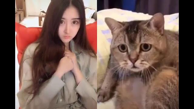 Tiktok kucing nakalll liat cewek buka baju!!!!! Tiktok kucing nakalll liat cewek buka baju!!!!!