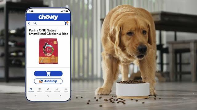 The chewy app The chewy app