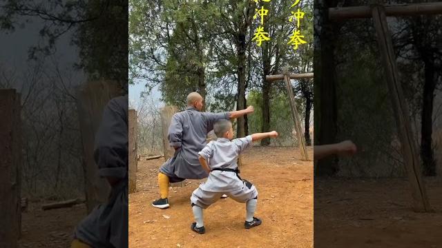 Some kung fu tips #shorts Some kung fu tips #shorts