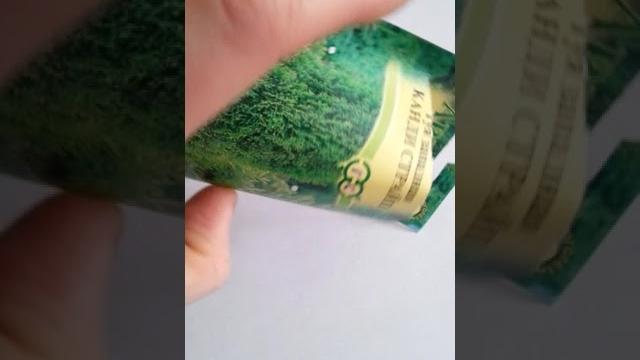 Семена, туи западной канди страйп . Семена, туи западной канди страйп .