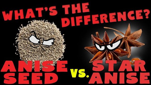 Anise seed vs star anise: what is the difference? Anise seed vs star anise: what is the difference?