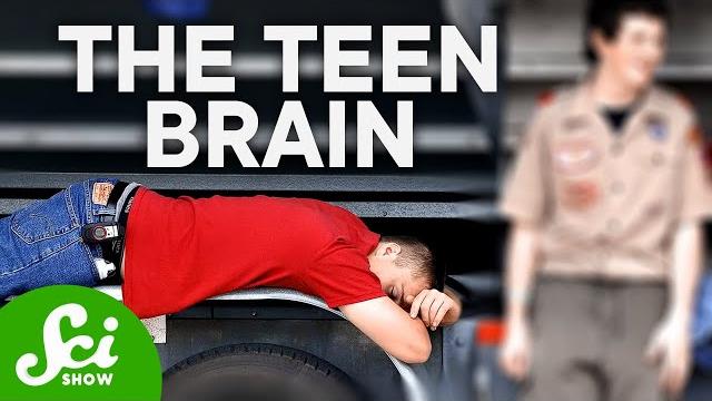 How teenagers' brains are actually wired differently How teenagers' brains are actually wired differently