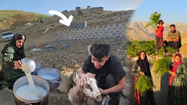 Nomadic life in iran ️️ | family, shelter & culture Nomadic life in iran ️️ | family, shelter & culture