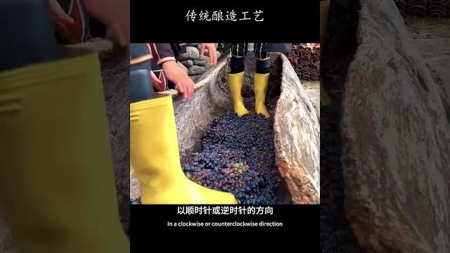 传统酿造葡萄酒为什么要用脚踩? #科普 传统酿造葡萄酒为什么要用脚踩? #科普