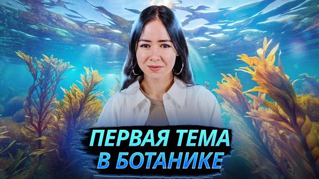Ботаника биология егэ с нуля: водоросли i умскул Ботаника биология егэ с нуля: водоросли i умскул