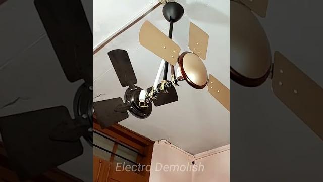 Wait for it... #shorts #youtube #trending #viral Wait for it... #shorts #youtube #trending #viral