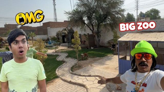 Shaka waleed ka big zoo per hamla ka diya Shaka waleed ka big zoo per hamla ka diya