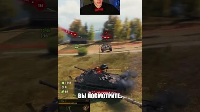 Малиновка + арта... #clymba #c1ymba #клумба #миртанков Малиновка + арта... #clymba #c1ymba #клумба #миртанков