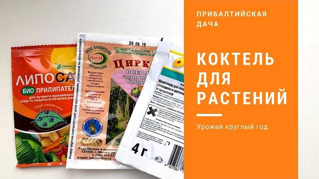 Баковая смесь. топаз. актара. циркон Баковая смесь. топаз. актара. циркон
