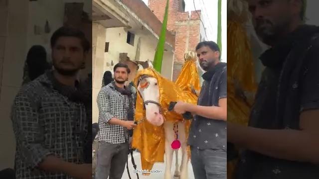 Sirsi sadat azadari | zuljanah imam husain sirsi sadat #sirsiazadari2025 #sirsiazadari #explore Sirsi sadat azadari | zuljanah imam husain sirsi sadat #sirsiazadari2025 #sirsiazadari #explore