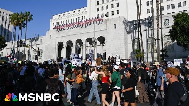 Rev. al to protesters: don't play into trump's hands with violence, conduct non-violent protest Rev. al to protesters: don't play into trump's hands with violence, conduct non-violent protest